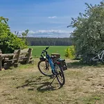 Ostseegold *