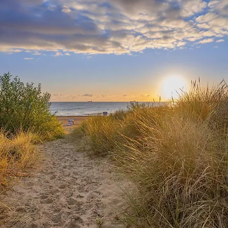 Ostseegold *